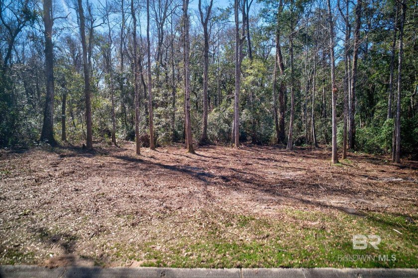 If you have ever dreamed of owning a beautiful lot in Point - photo 8