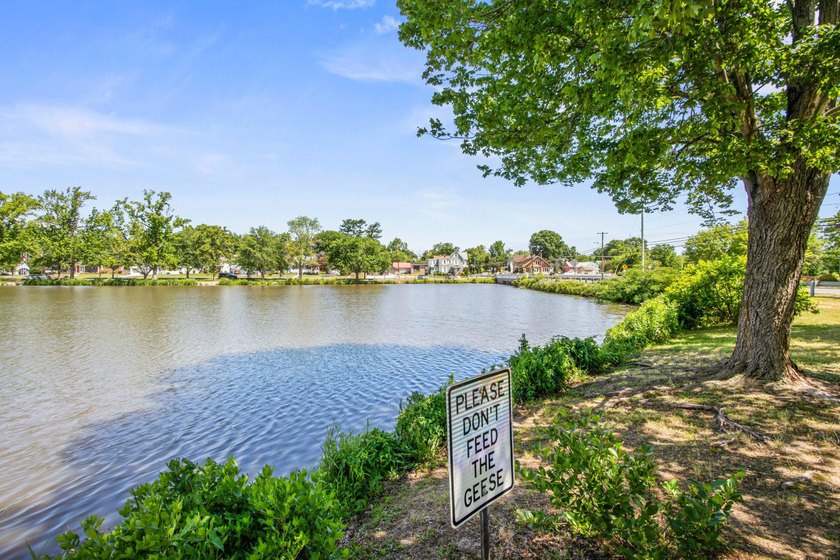 Nestled across the street from Memorial Lake, this charming home - photo 34