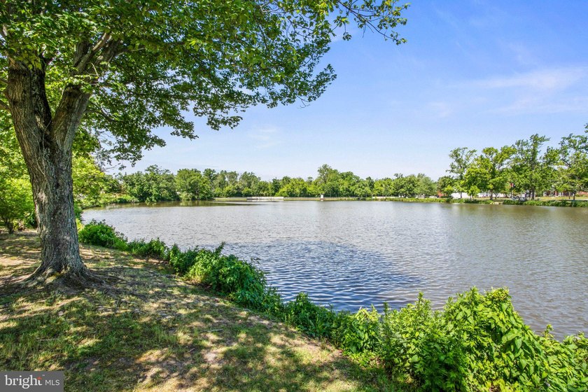 Nestled across the street from Memorial Lake, this charming home - photo 35