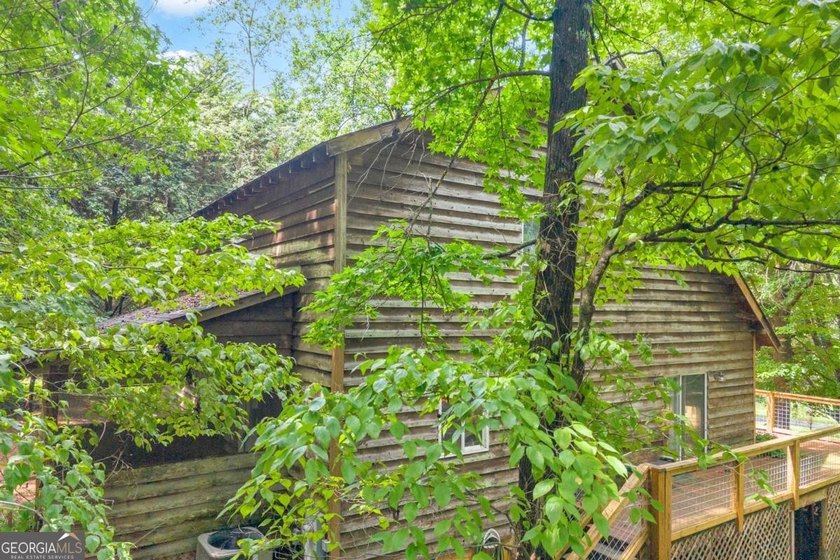 Very cute and cozy Cabin across the street from Lake Hartwell - photo 6