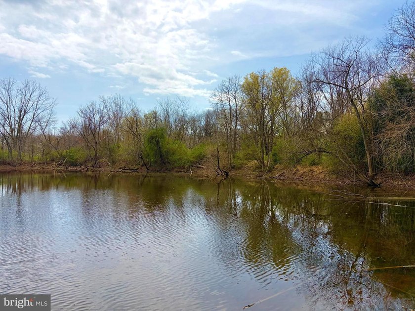 Experience a rare haven in the foothills of the Blue Ridge - photo 11