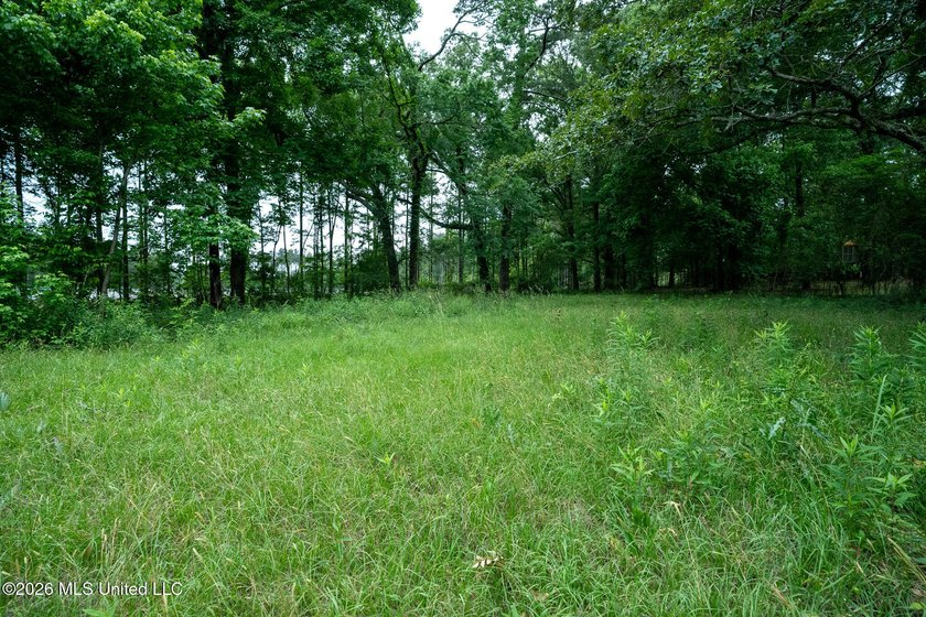 If you are looking for land to build your dream home, look no - photo 19