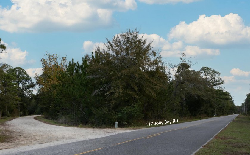 TWO Parcels-NO HOA or Restrictions!!! This beautifully wooded - photo 3