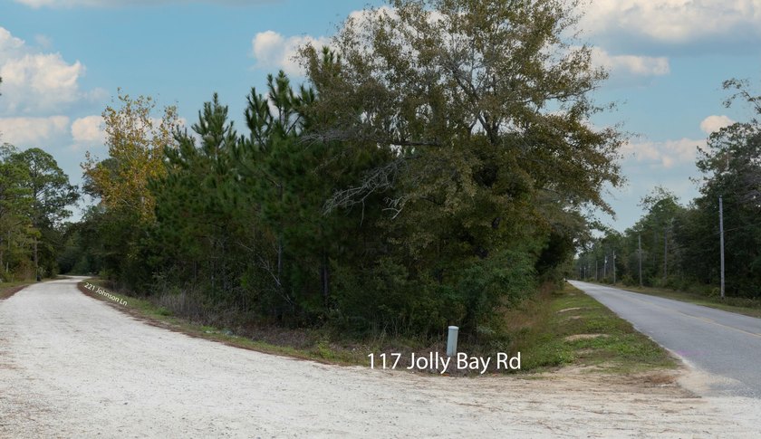 TWO Parcels-NO HOA or Restrictions!!! This beautifully wooded - photo 4