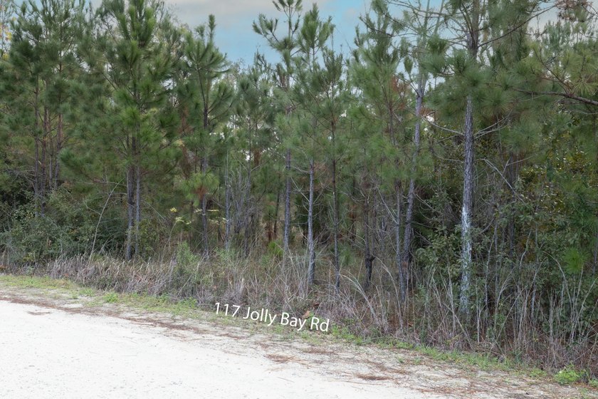 TWO Parcels-NO HOA or Restrictions!!! This beautifully wooded - photo 5