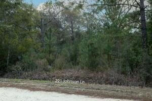 TWO Parcels-NO HOA or Restrictions!!! This beautifully wooded - photo 8