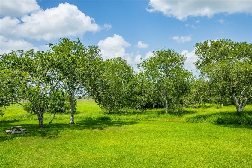 10+/- acres on Lake Corpus Christi o?ering approximately 4 - photo 18