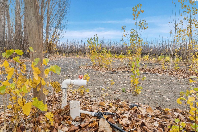MLS# 289021 Rare opportunity to own 51.41 acres of highly - photo 12