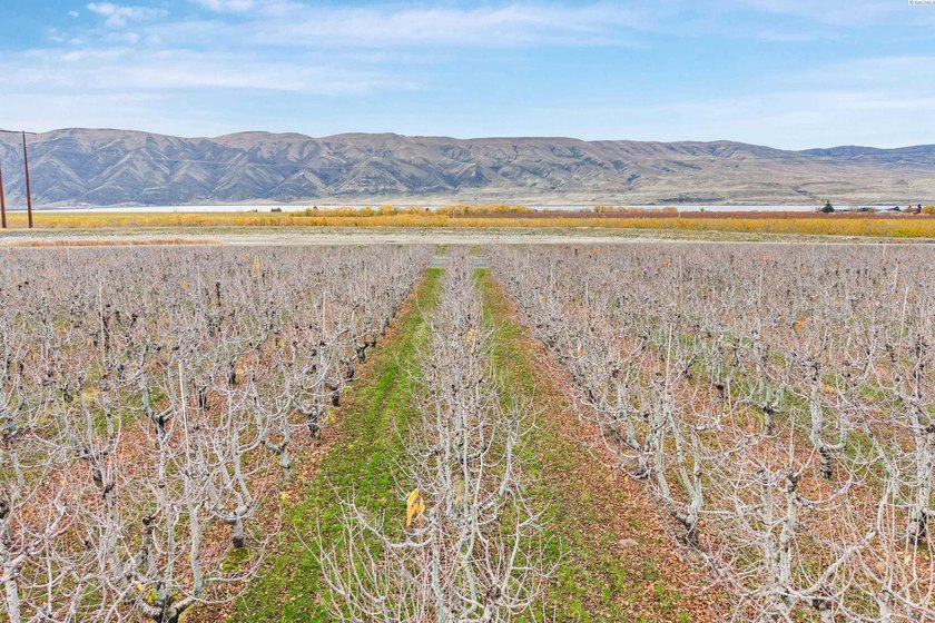MLS# 289021 Rare opportunity to own 51.41 acres of highly - photo 16