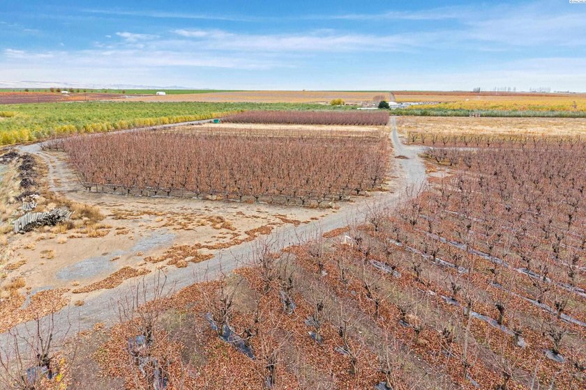 MLS# 289021 Rare opportunity to own 51.41 acres of highly - photo 26