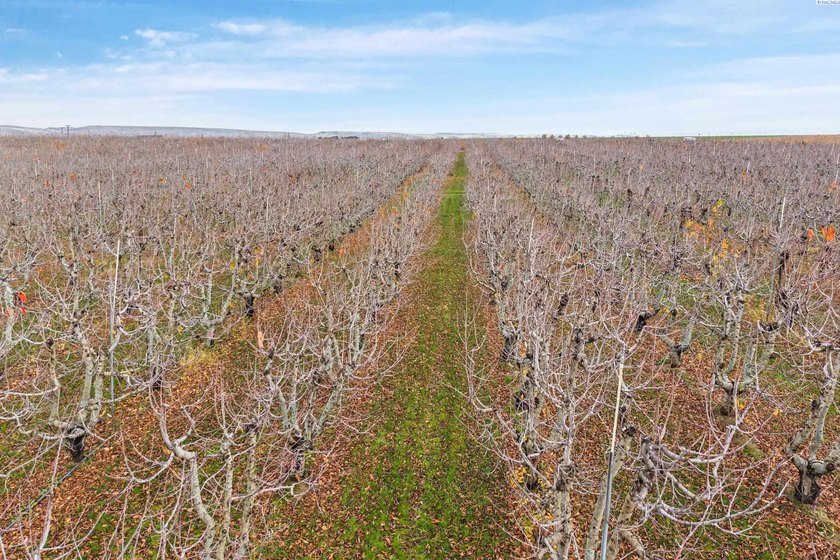 MLS# 289021 Rare opportunity to own 51.41 acres of highly - photo 32