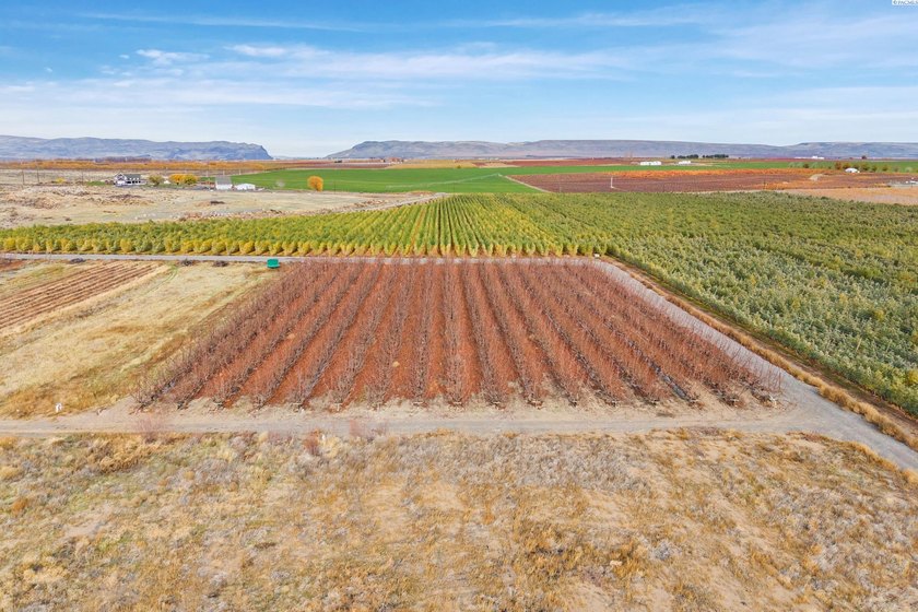 MLS# 289021 Rare opportunity to own 51.41 acres of highly - photo 42