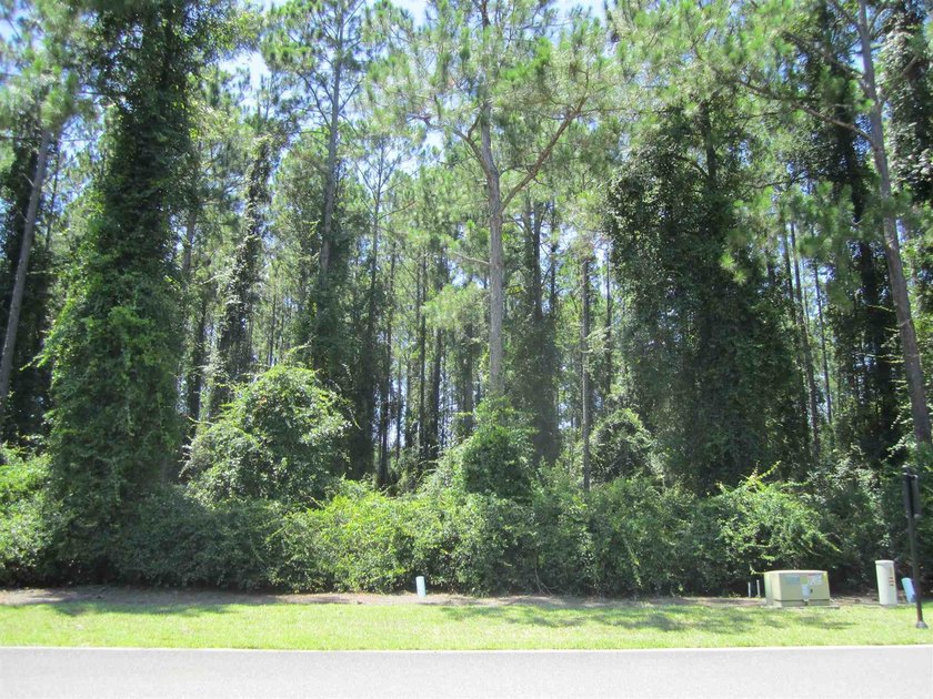 Beautiful lakefront lot on Cumberland Harbour Blvd. 103'x154' - photo 5