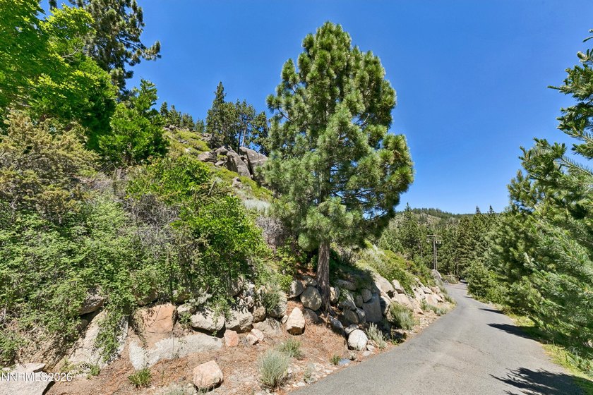 Build Your Legacy Estate in Historic Glenbrook. An extraordinary - photo 27