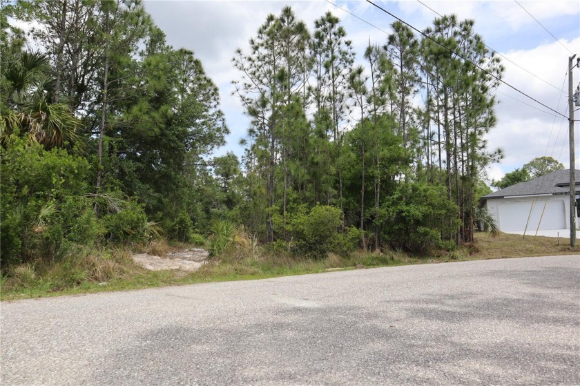 *Discover serenity on this stunning half-acre plot nestled in - photo 4