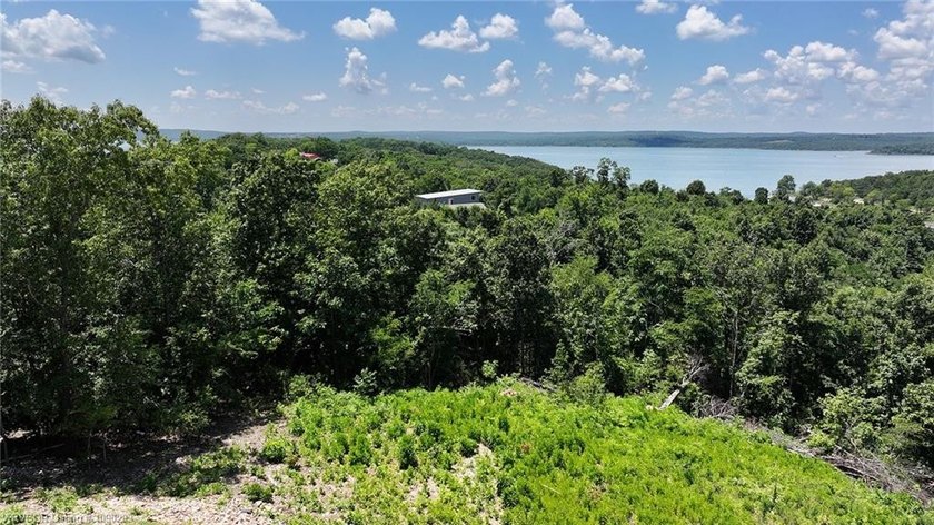 This is a Woodhaven Wonder with amazing year round Lake views - photo 5