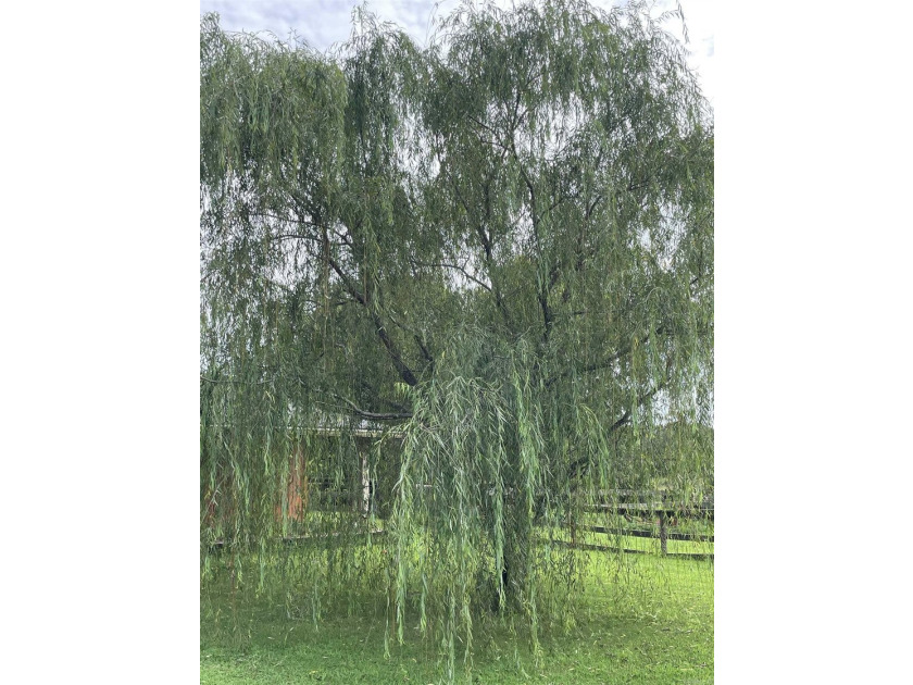 House with a barn and 2.90 Acres!! Fenced property and a small - photo 15