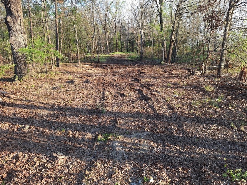 Beautiful 1.5-acre property located in Harris, OK, just minutes - photo 3