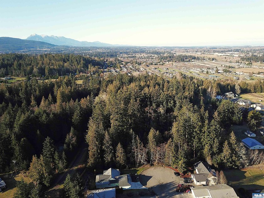 Enjoy water and mountain views from this beautifully treed 3.04 - photo 3