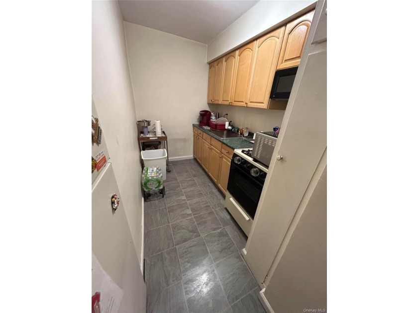 Welcome to this bright and spacious 1 bedroom, 1 bath co-op - photo 11