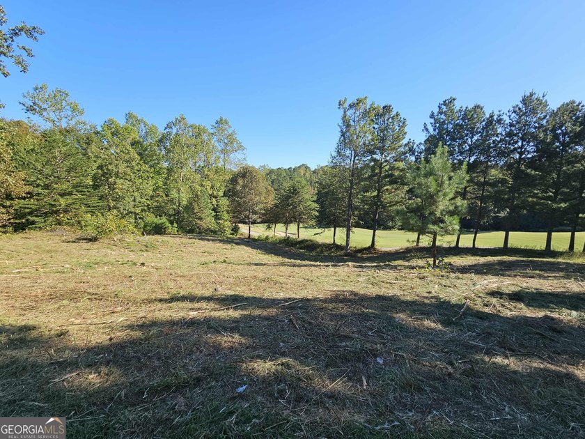 Build your dream home in the heart of Currahee Club at 256 Golf - photo 2