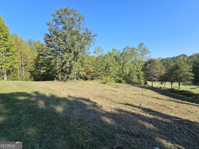 Build your dream home in the heart of Currahee Club at 256 Golf - photo 3