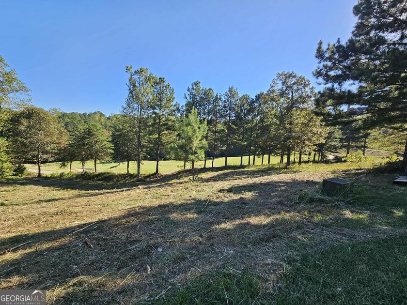 Build your dream home in the heart of Currahee Club at 256 Golf - photo 4