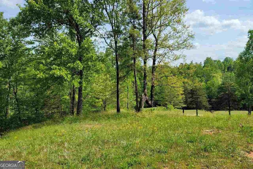 Build your dream home in the heart of Currahee Club at 256 Golf - photo 5