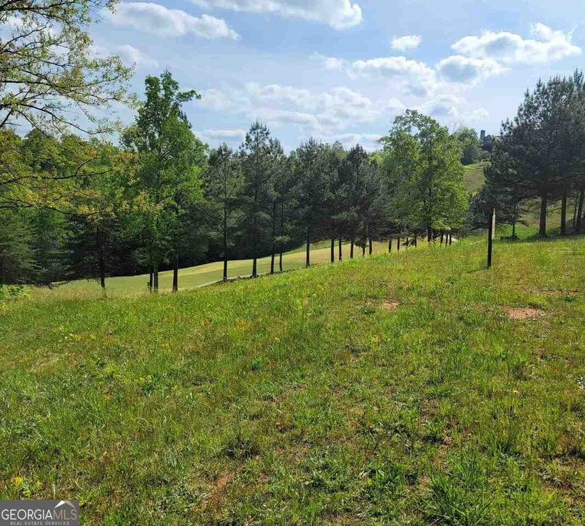Build your dream home in the heart of Currahee Club at 256 Golf - photo 6