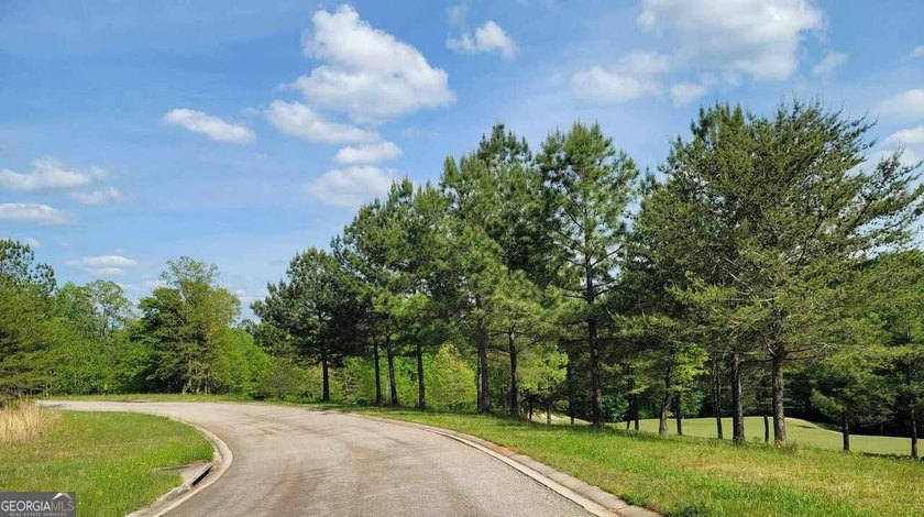 Build your dream home in the heart of Currahee Club at 256 Golf - photo 7
