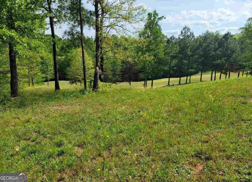 Build your dream home in the heart of Currahee Club at 256 Golf - photo 8