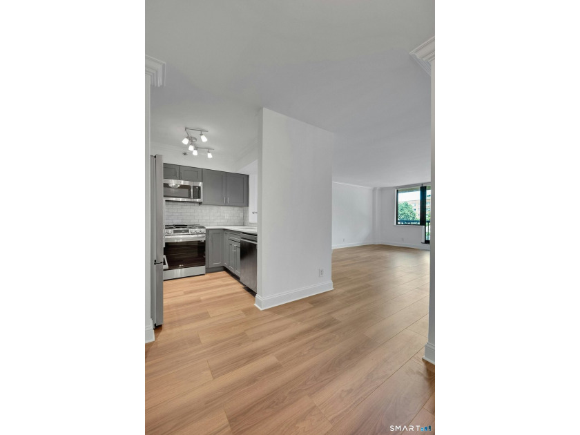 Experience refined luxury living at The Classic, one of downtown - photo 7