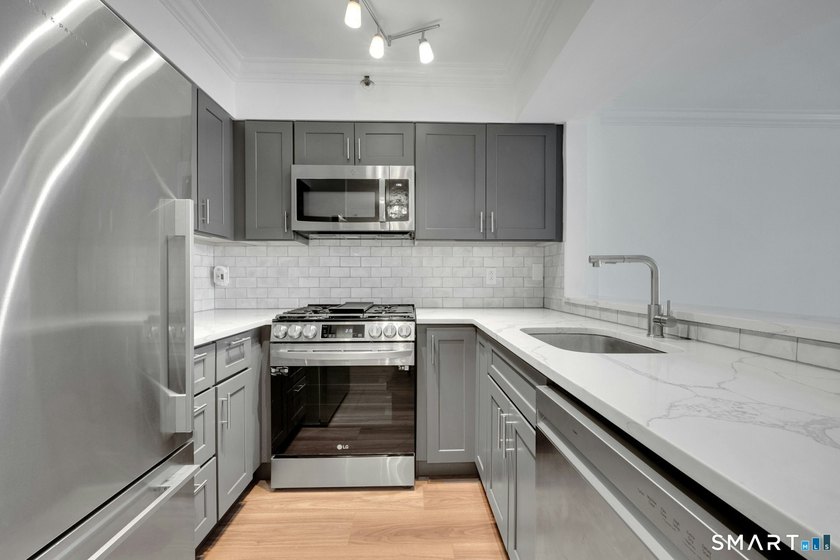 Experience refined luxury living at The Classic, one of downtown - photo 8