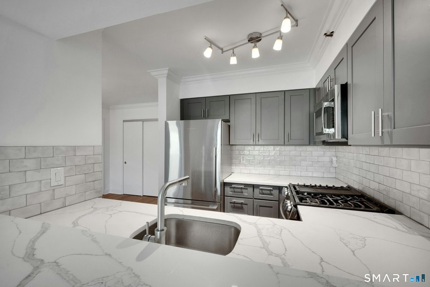 Experience refined luxury living at The Classic, one of downtown - photo 10