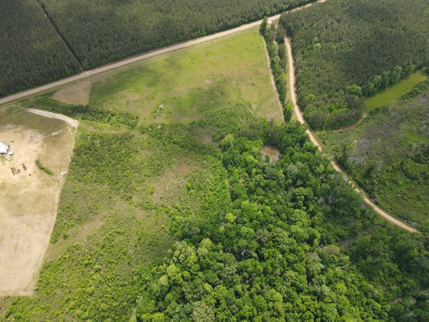 LOCATED IN RANKIN COUNTY, MS, THIS BEAUTIFUL 12.41+/- ACRE - photo 2