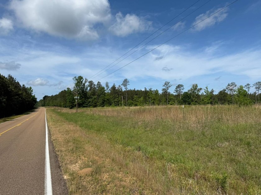 LOCATED IN RANKIN COUNTY, MS, THIS BEAUTIFUL 12.41+/- ACRE - photo 3