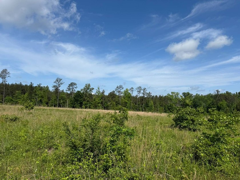 LOCATED IN RANKIN COUNTY, MS, THIS BEAUTIFUL 12.41+/- ACRE - photo 4