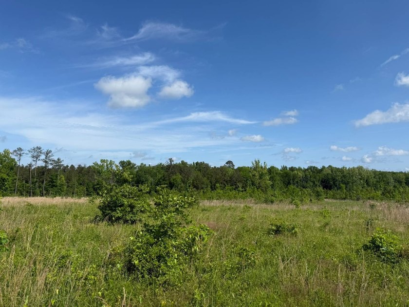 LOCATED IN RANKIN COUNTY, MS, THIS BEAUTIFUL 12.41+/- ACRE - photo 5