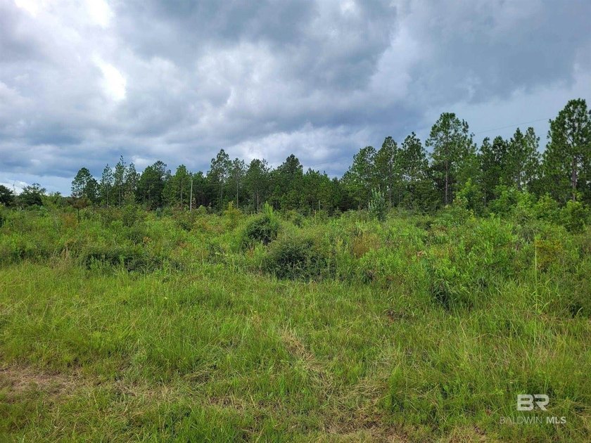 New Price - Exceptional Opportunity!Well-maintained, unzoned - photo 11