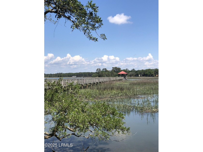 Distant Island is one of Beaufort's finest waterfront - photo 6