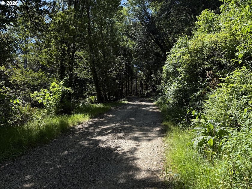 Discover the potential of this private 5-acre retreat nestled - photo 2