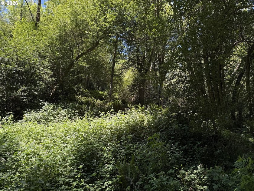 Discover the potential of this private 5-acre retreat nestled - photo 5