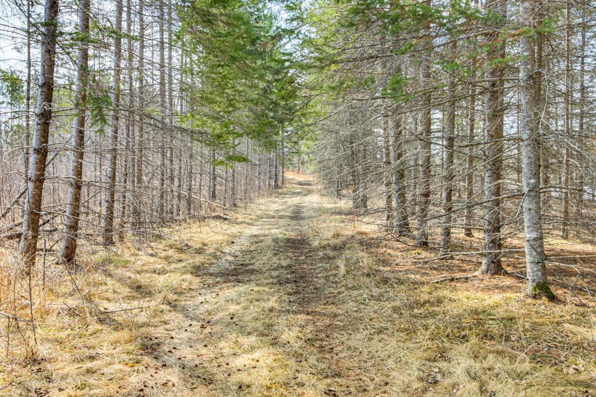 Rare opportunity to own a truly unique Northwoods retreat on - photo 7