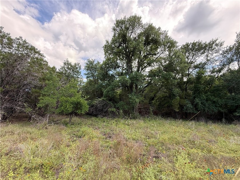 Beautiful acreage with seasonal creek and exceptional views! - photo 11