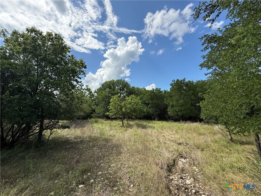 Beautiful acreage with seasonal creek and exceptional views! - photo 12