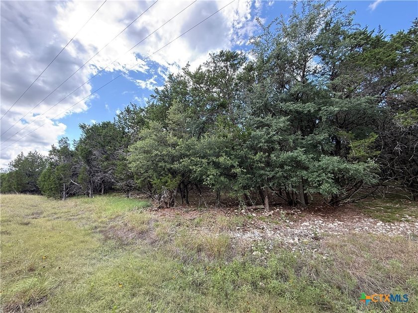 Beautiful acreage with seasonal creek and exceptional views! - photo 13