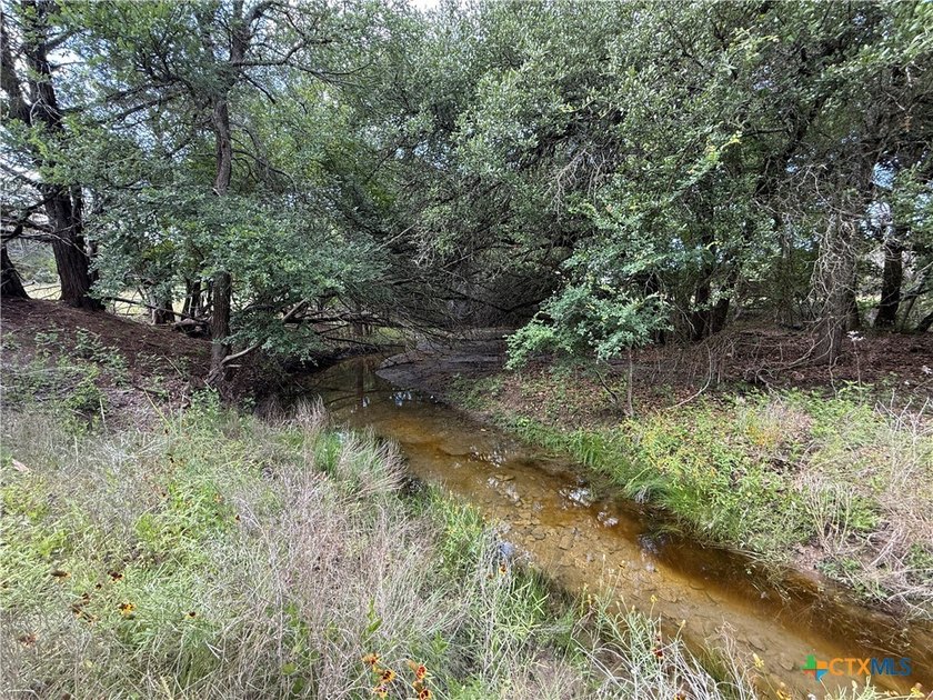 Beautiful acreage with seasonal creek and exceptional views! - photo 17