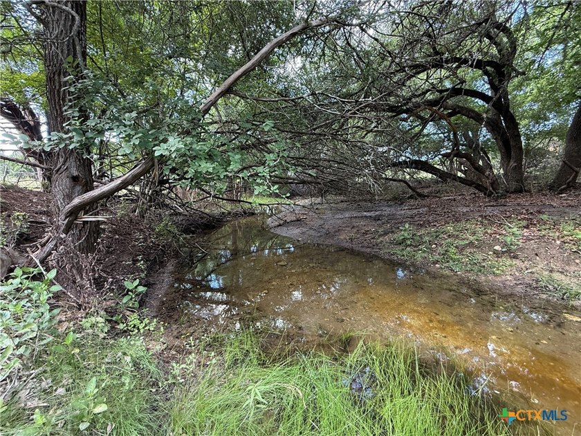 Beautiful acreage with seasonal creek and exceptional views! - photo 18