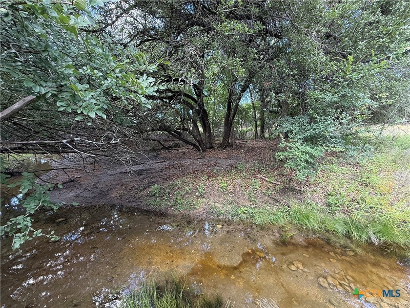 Beautiful acreage with seasonal creek and exceptional views! - photo 19