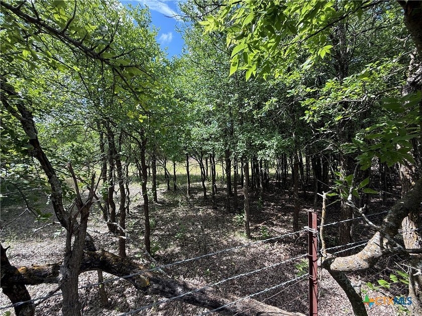 Beautiful acreage with seasonal creek and exceptional views! - photo 20